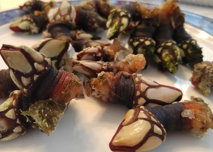 As Eiras ホステル Lires