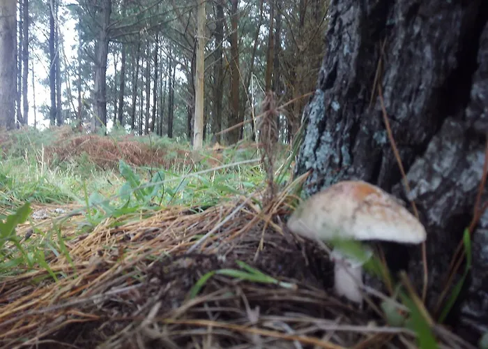 Vandrarhem As Eiras Lires